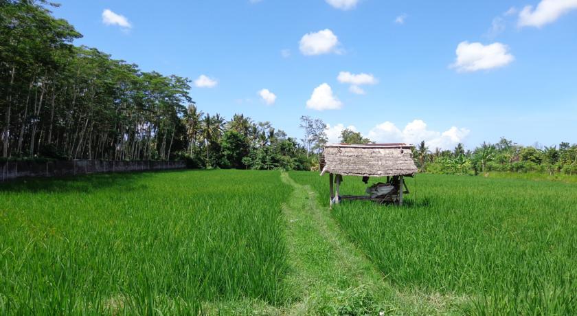 Angel House Ubud Eco Villa Exterior foto
